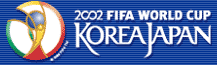 2002N FIFA[hJbv@ItBVTCg