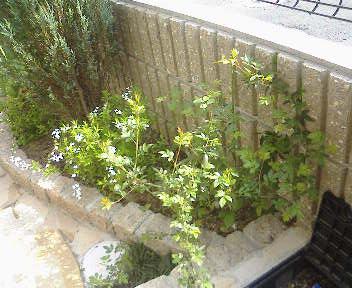 �S���S��