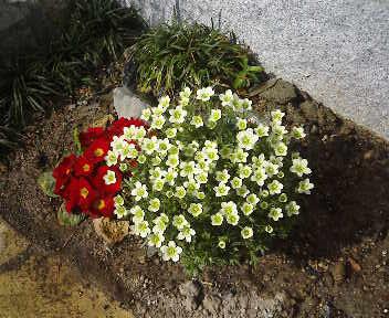 �S���S��